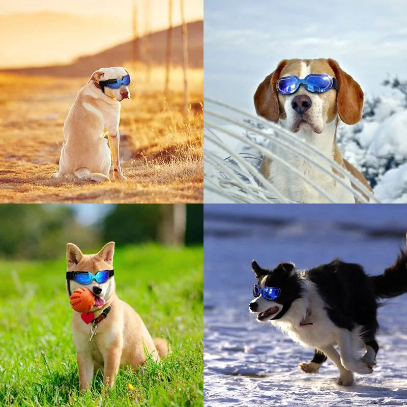 UV Protection Dog Sunglasses