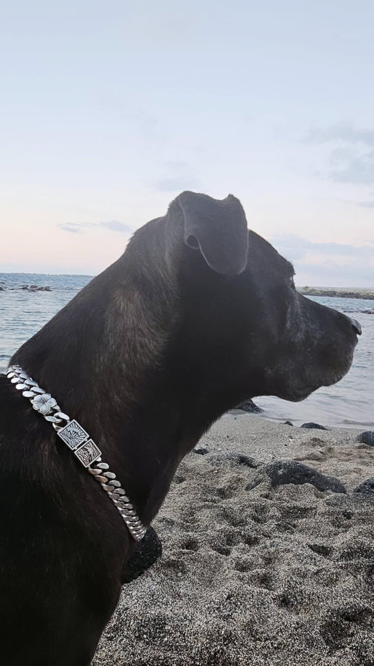 Custom Cuban link dog chain handcrafted by Doggie Daddie, shown in silver