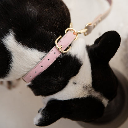 Collar - Smart Tag Enabled - Vegan Leather - Cupertino