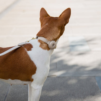 Collar - Smart Tag Enabled - Vegan Leather - Cupertino