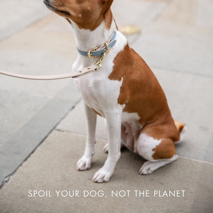 Collar - Smart Tag Enabled - Vegan Leather - Cupertino