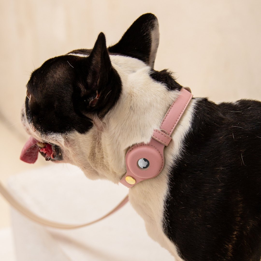 Collar - Smart Tag Enabled - Vegan Leather - Cupertino