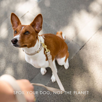 Collar - Smart Tag Enabled - Vegan Leather - Cupertino
