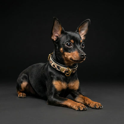 The Leopard Puppy Collar