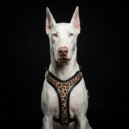 The Leopard Harness