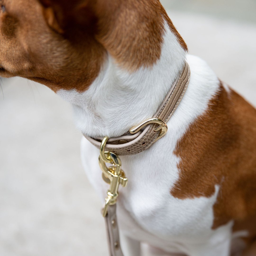 Collar - Vegan Leather - Milan